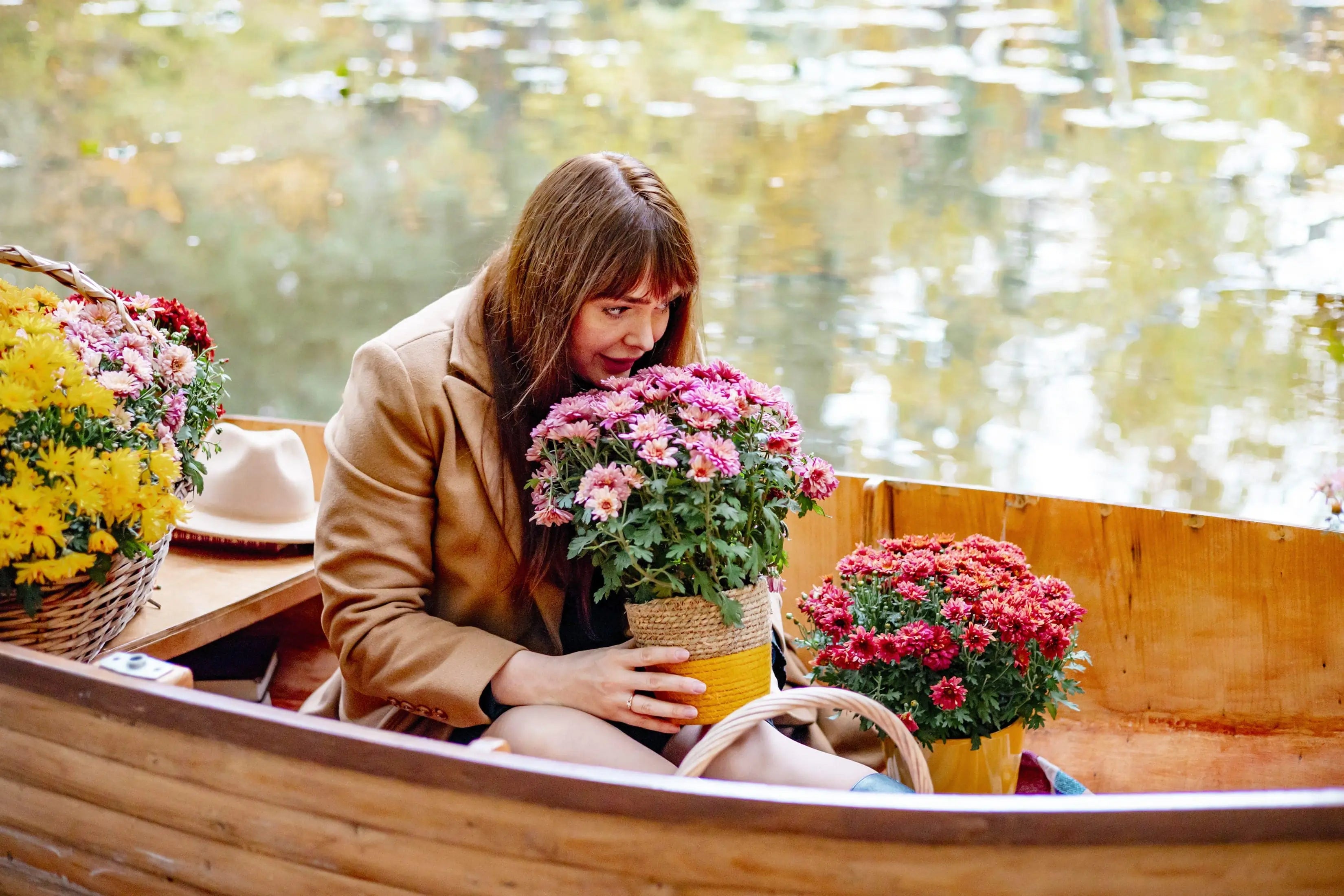 Your Guide to Autumn Flowers in New Zealand