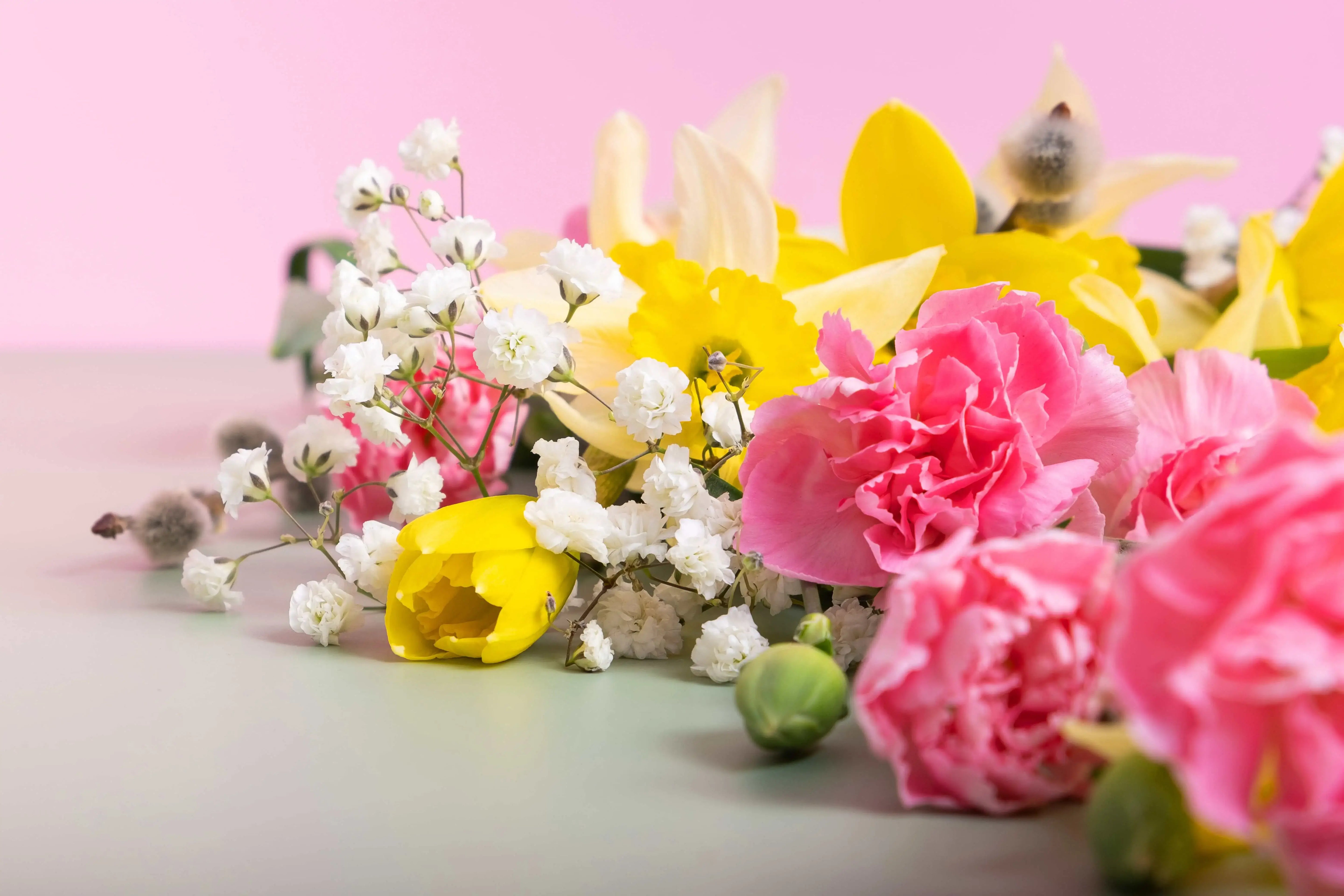 Spring Flowers NZ: How to Choose the Best Bouquet