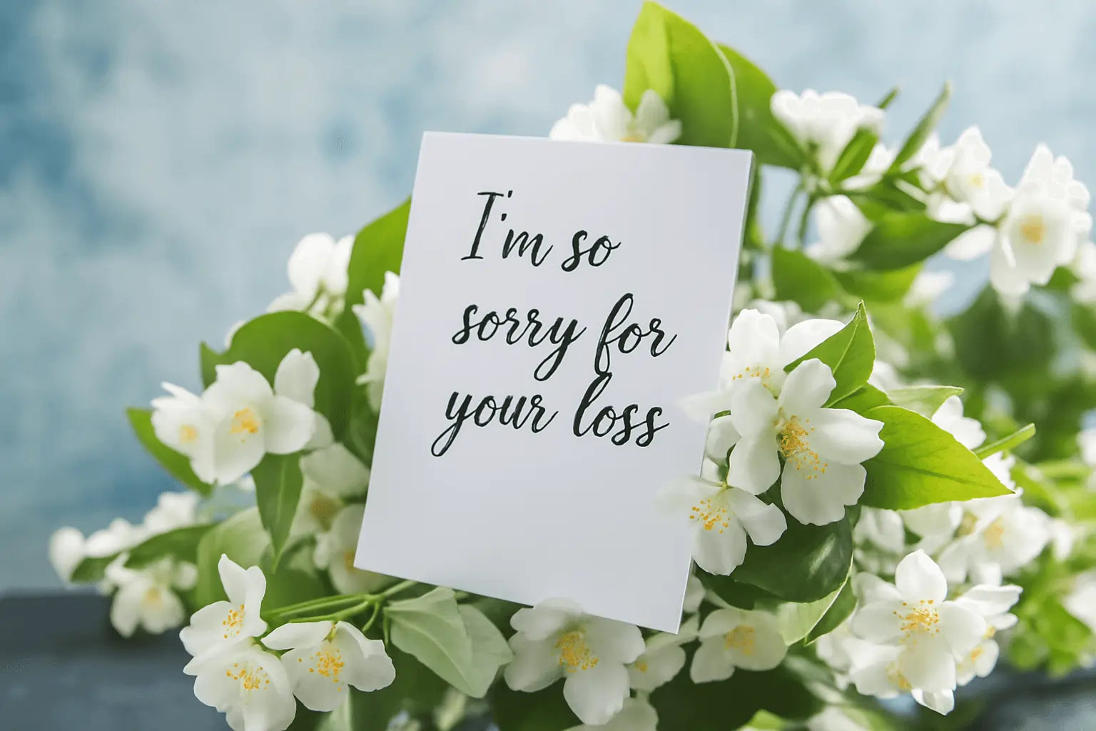 A sympathy card featuring the phrase "I'm so sorry for your loss", surrounded by white flowers