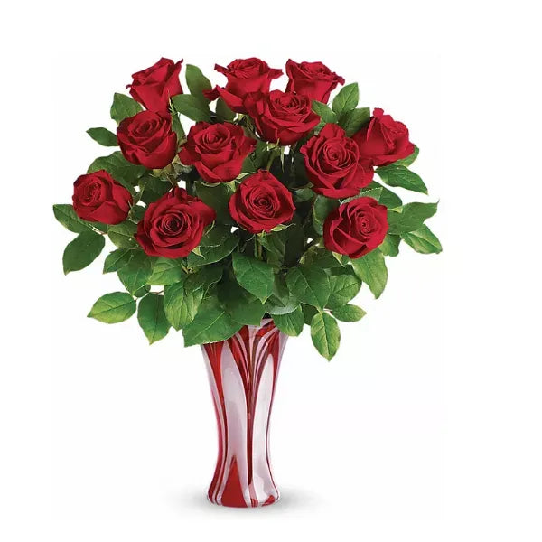 Extra Long Stemmed Red Roses - Flower Delivery New Zealand
