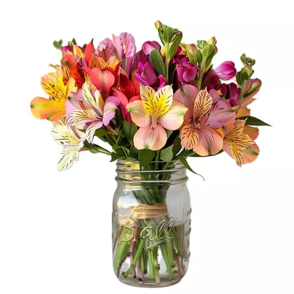 Thirty Blooms of Alstroemeria in Mason Jar