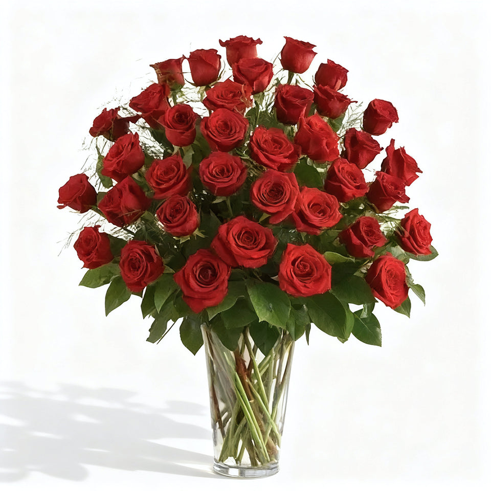 Three Dozen Long Stem Red Roses