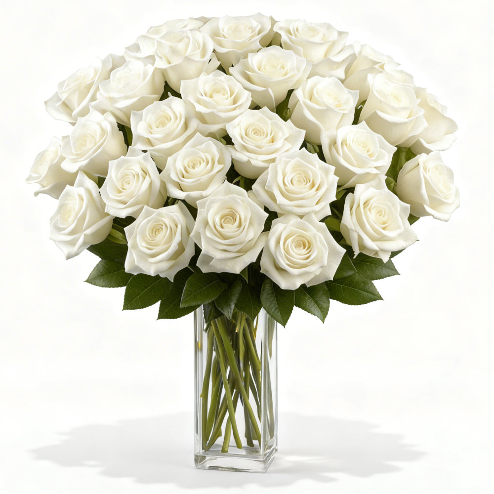 Three Dozen Long Stemmed White Roses - Flower Delivery New Zealand
