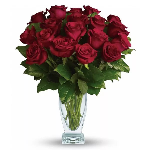 Eighteen long stem red roses in a vase.