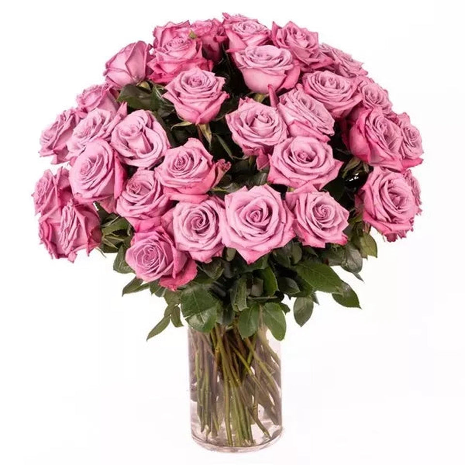 Three Dozen Long Stem Pink Roses