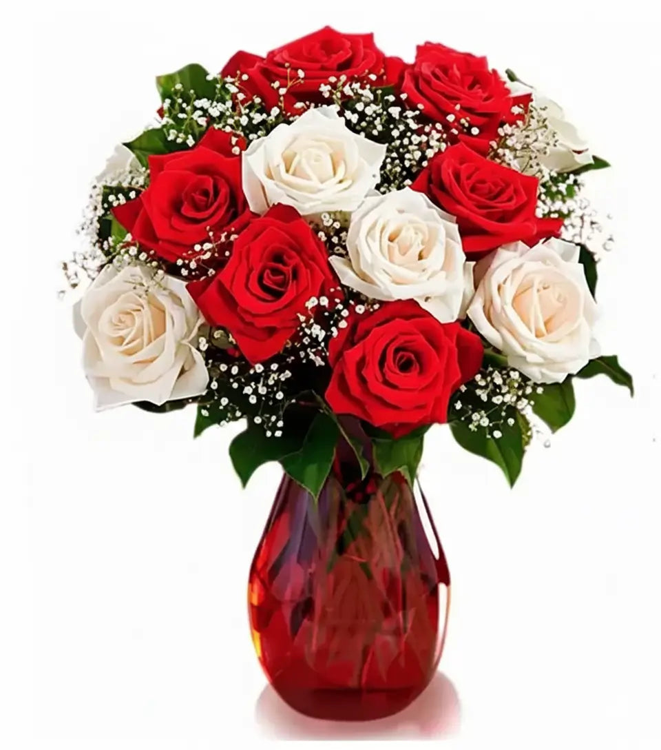 One Dozen Candy Cane Roses