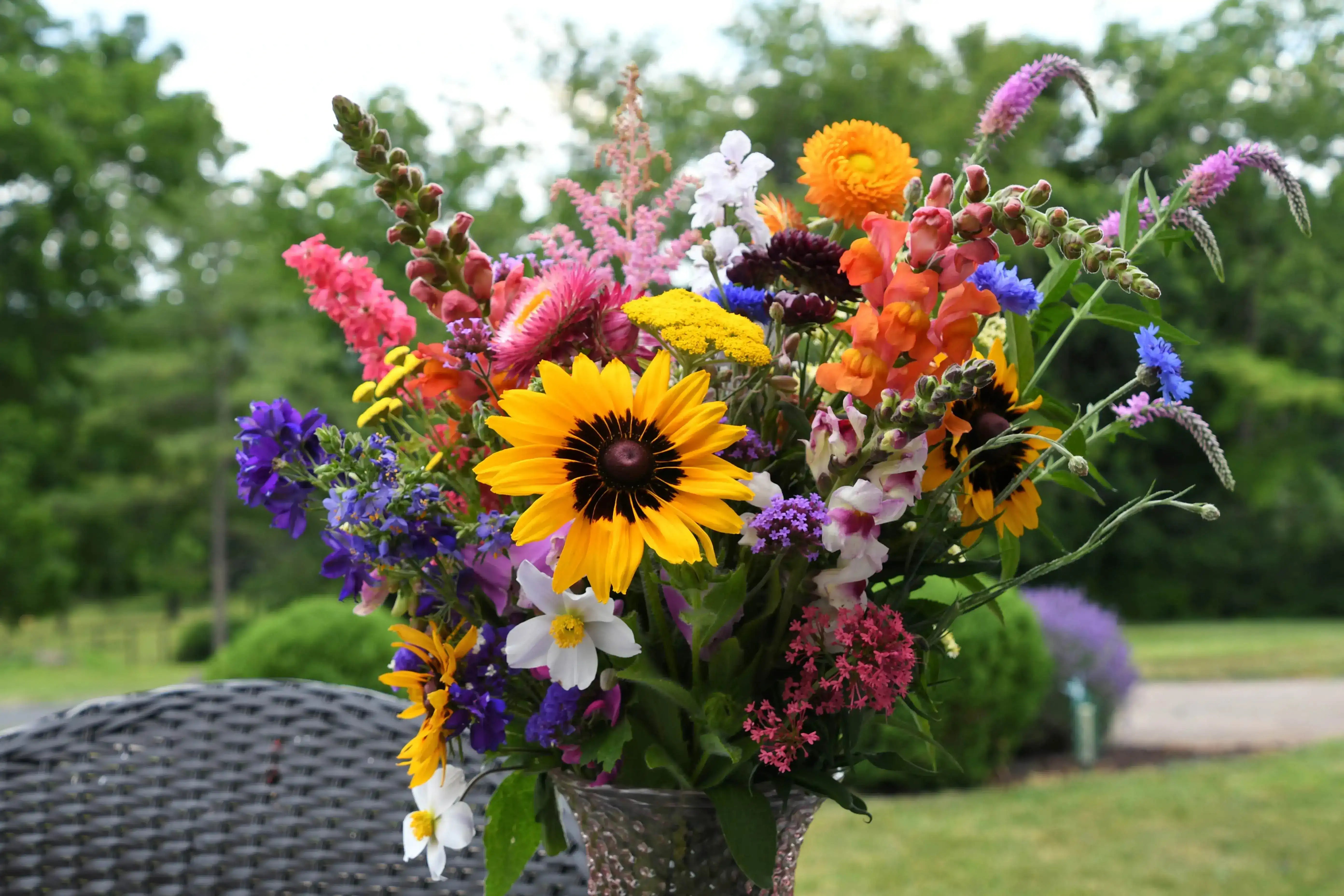 summer flowers 
