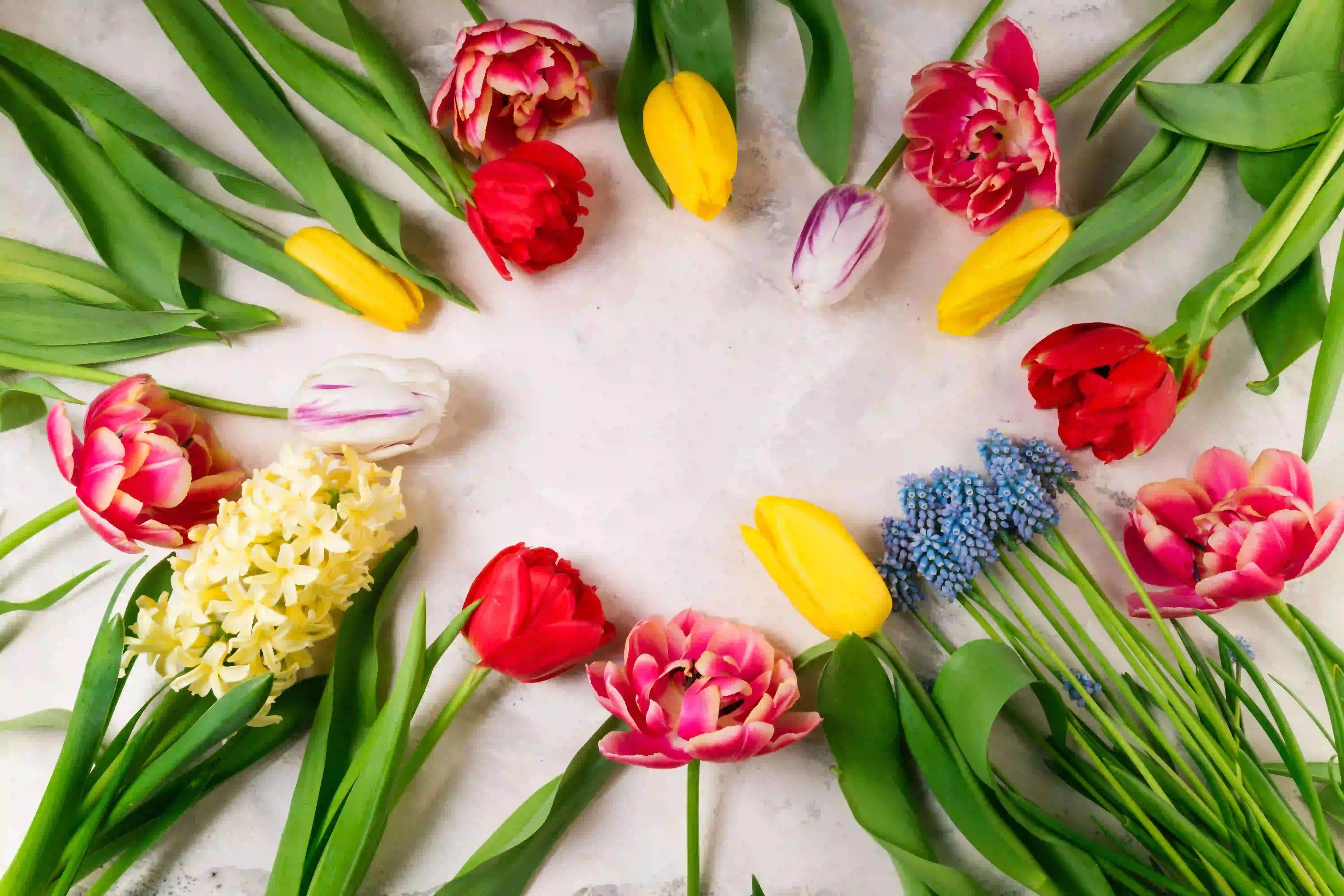 New Zealand Flower Calendar: Seasonal Flowers by Month