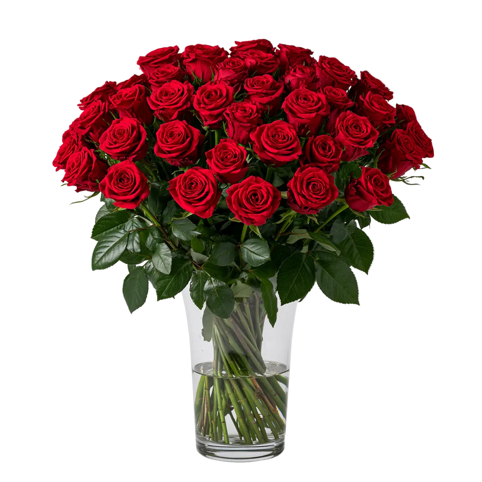 Three Dozen Long Stem Red Roses