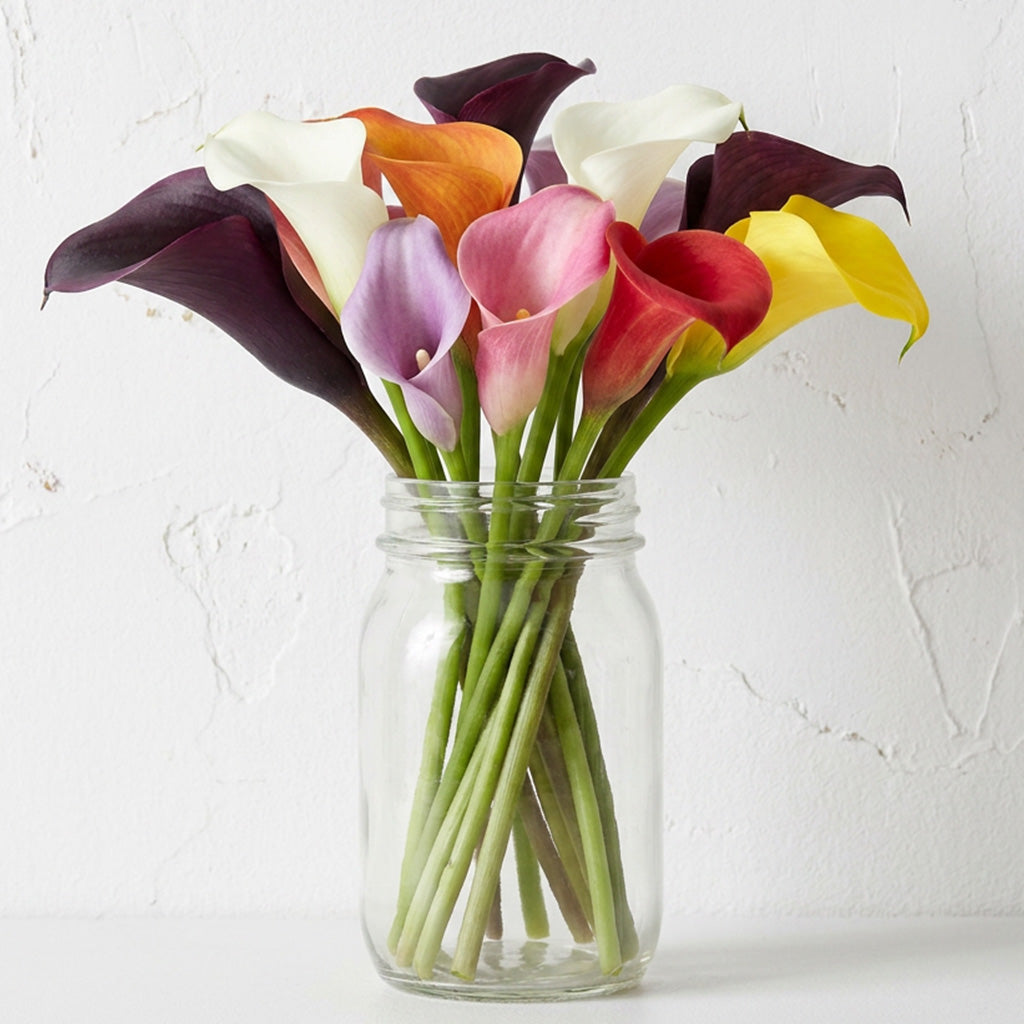 Assorted Calla Lilies in Mason Jar