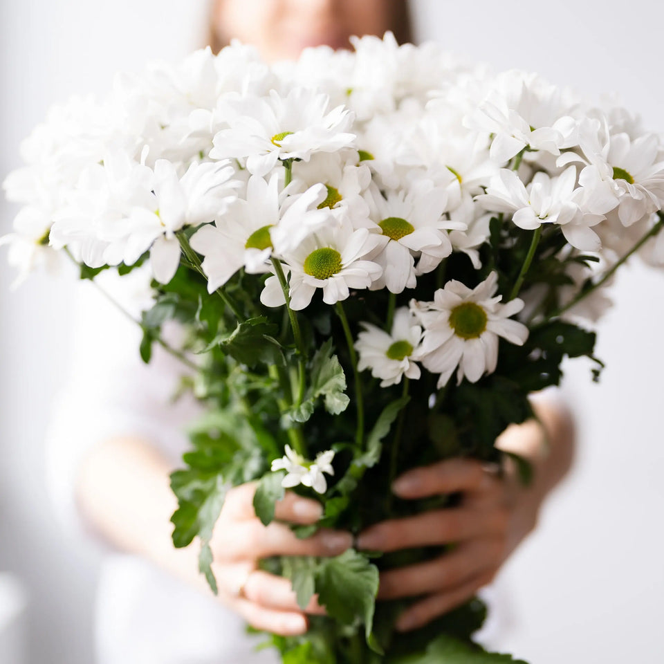 White daisy bouquet held by person