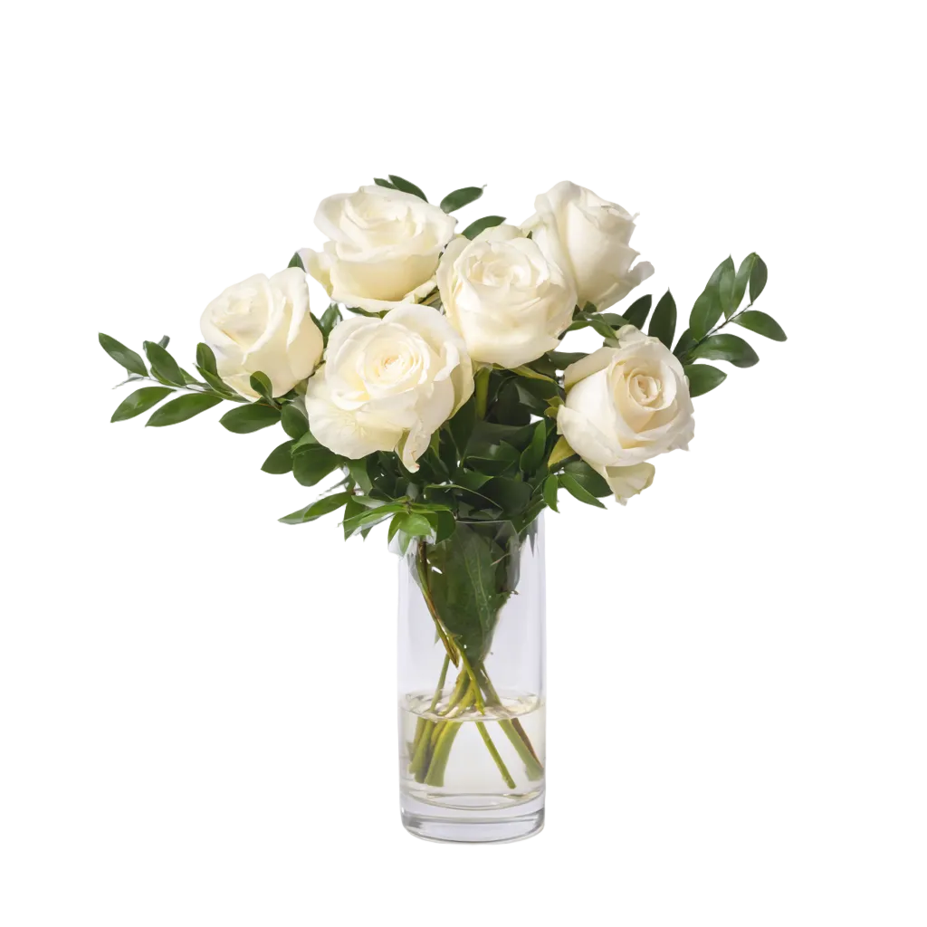 Half Dozen White Roses