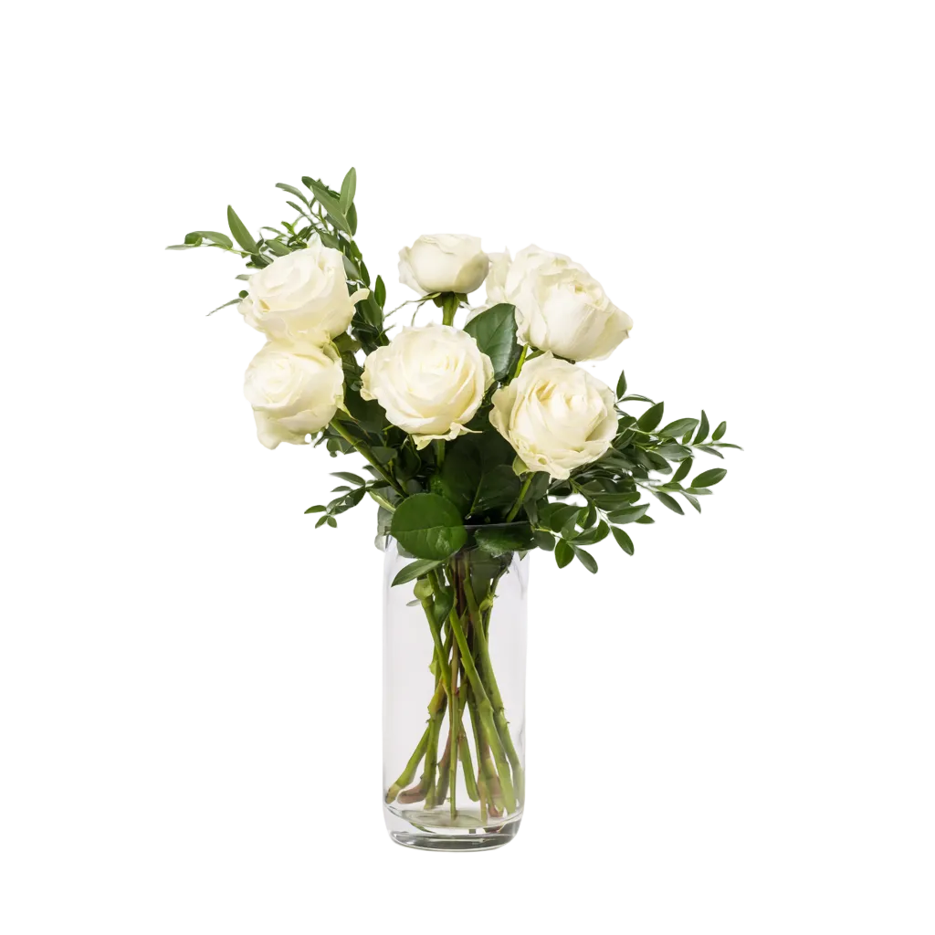 Half Dozen White Roses