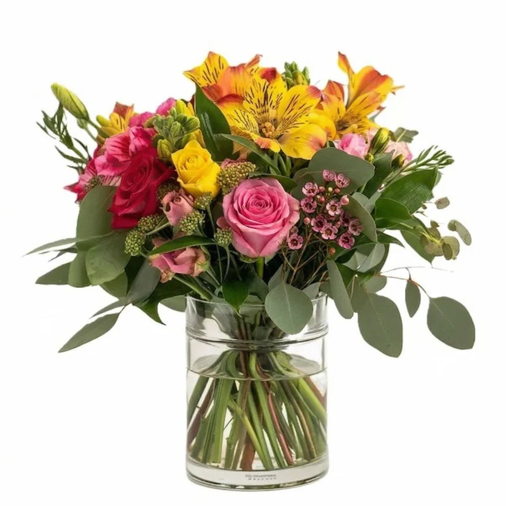 Harmony Blooms
