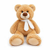 Large Teddy Bear