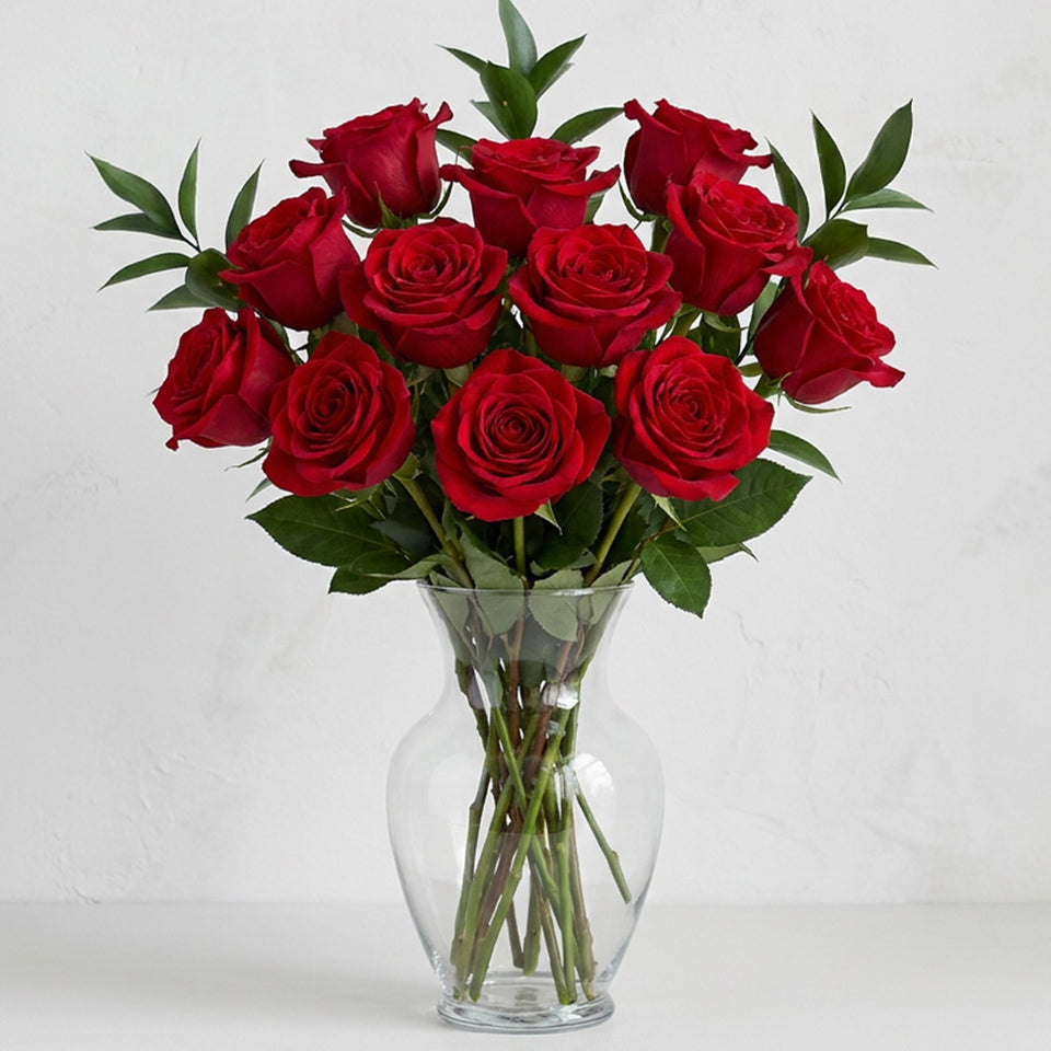 One Dozen Long Stem Red Rose Special