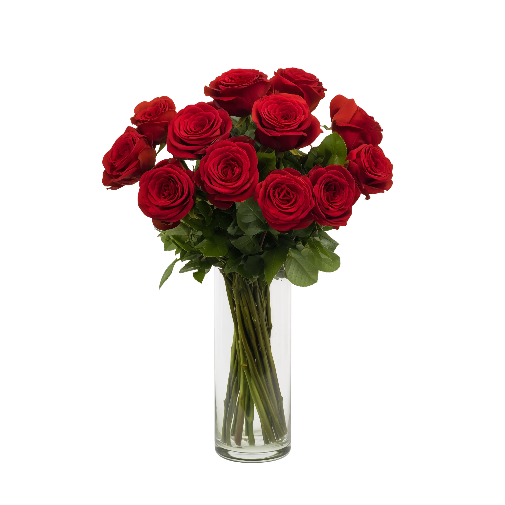 One Dozen Long Stem Red Rose Special