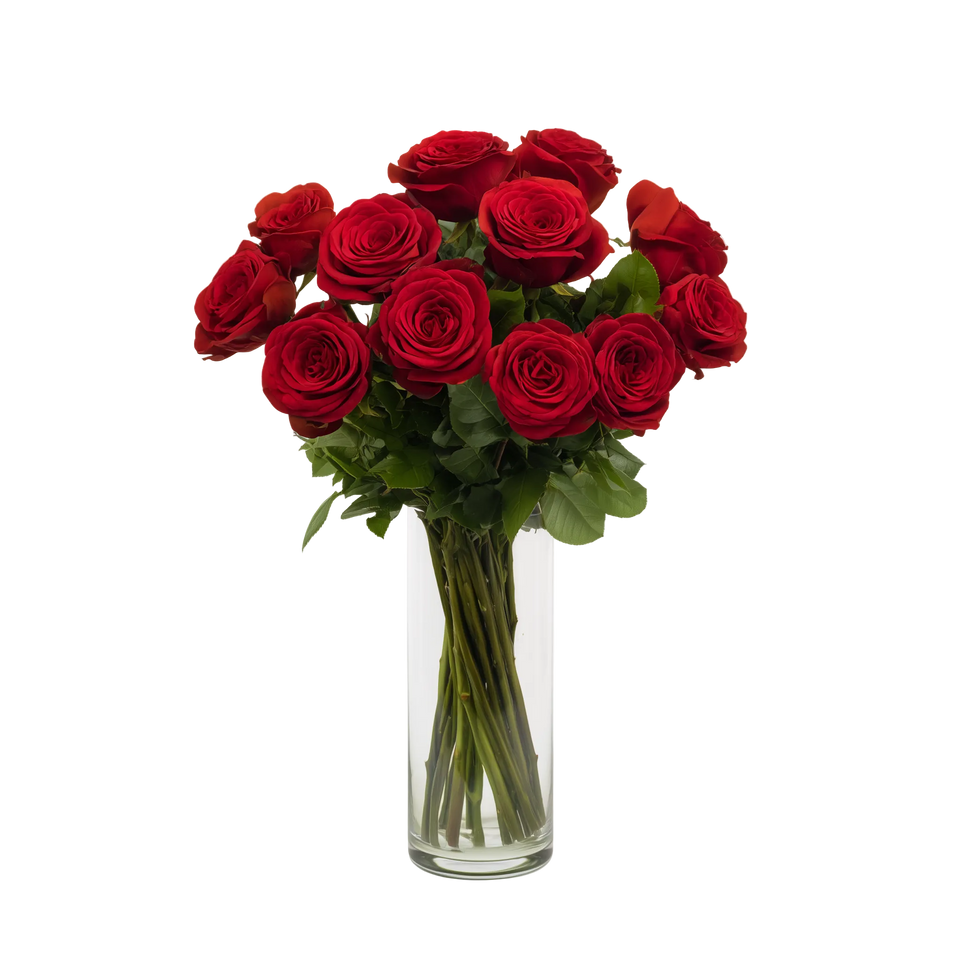 One Dozen Long Stem Red Rose Special