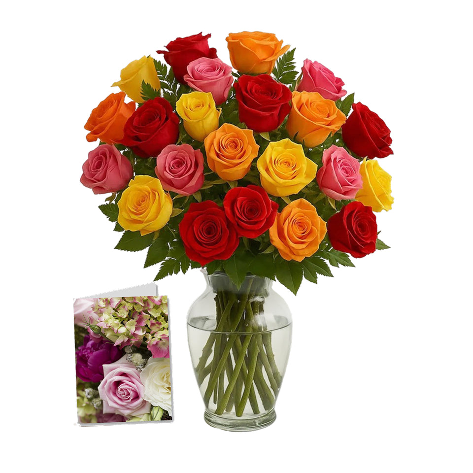 Two Dozen Assorted Long Stem Roses