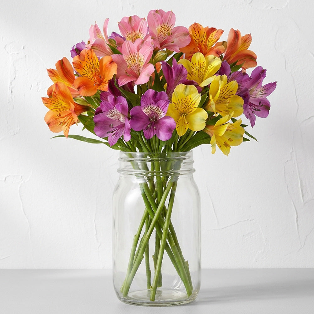 Thirty Blooms of Alstroemeria in Mason Jar