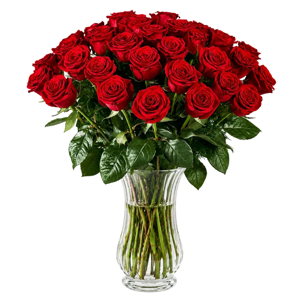 Two Dozen Long Stem Red Roses