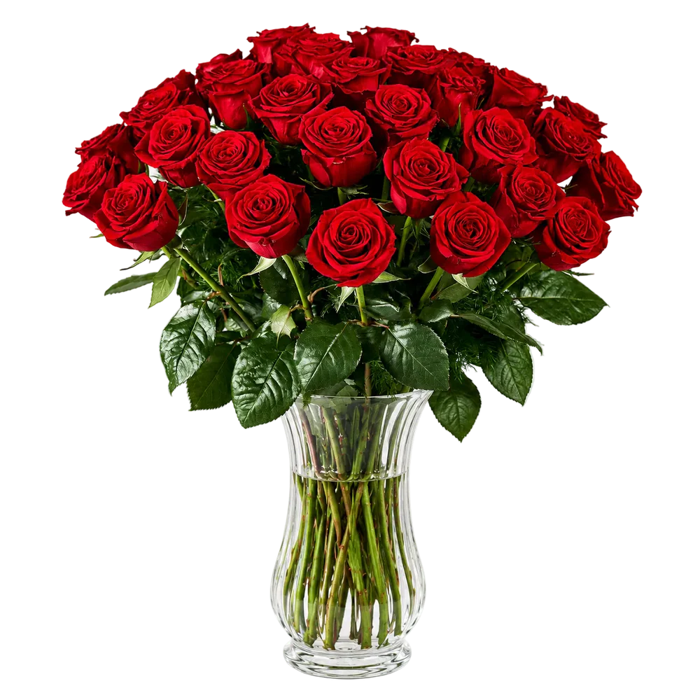 Two Dozen Long Stem Red Roses