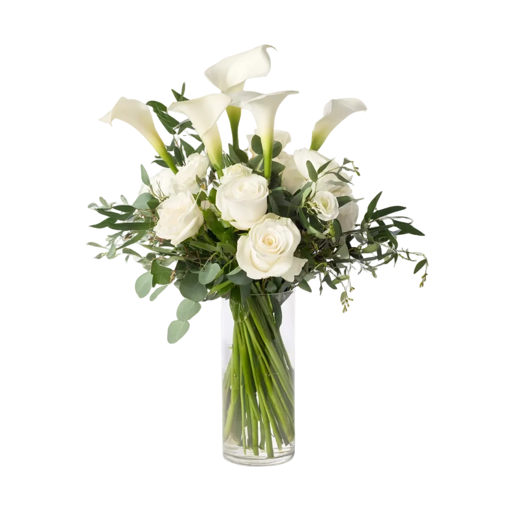 White Elegance