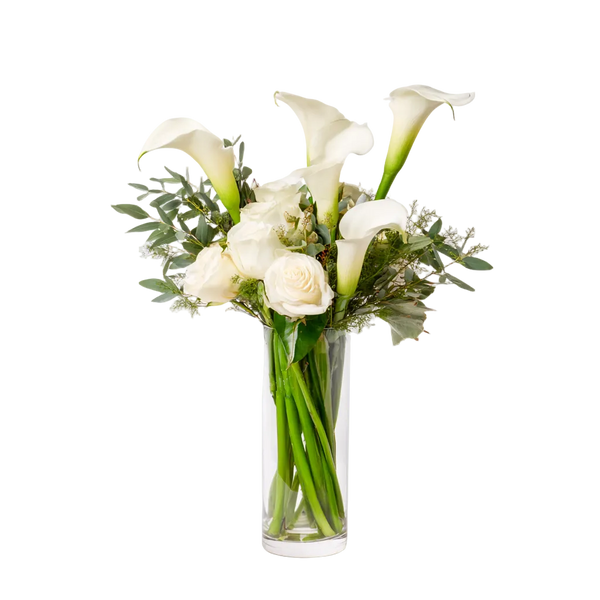 white lilies nz White Elegance Box | Calla Lilies & White Roses