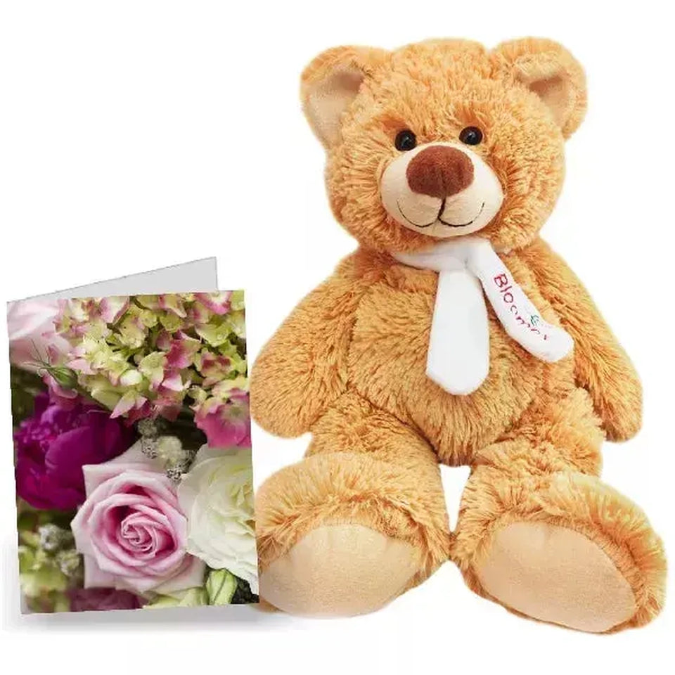 Card Teddy