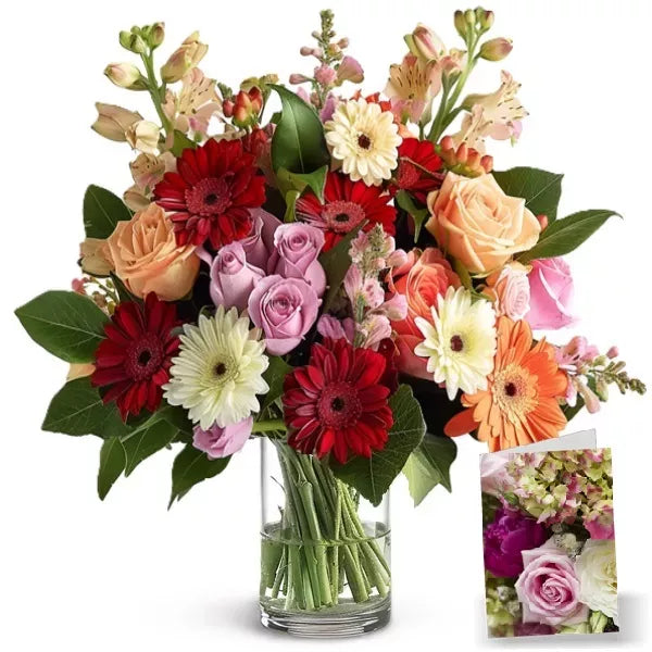 Designer Collection IV - Flower Delivery New Zealand