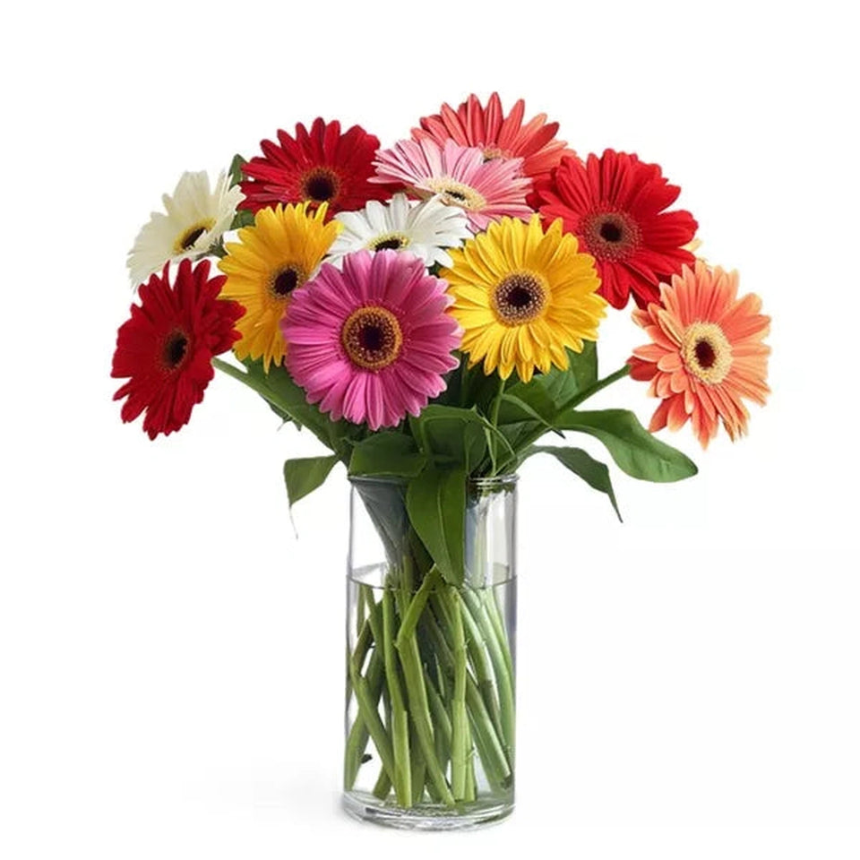 Rainbow Gerbera Bouquet