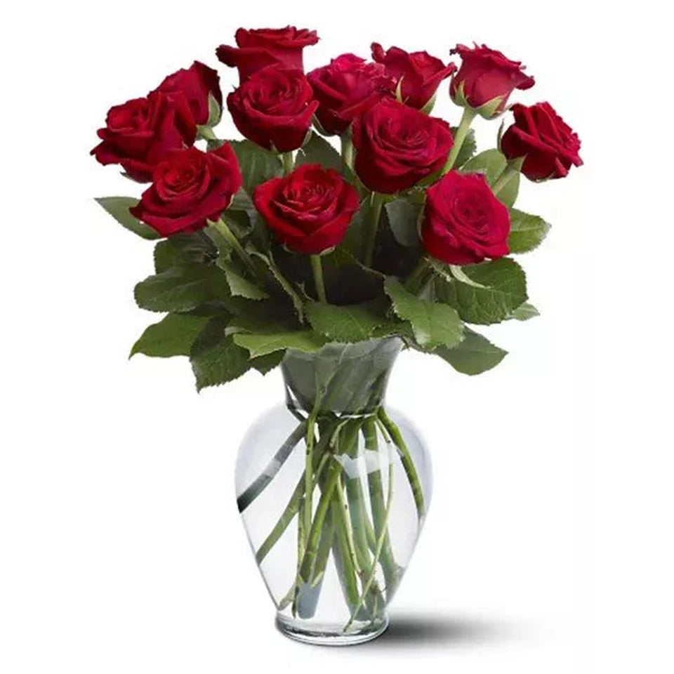 One Dozen Long Stem Red Rose Special