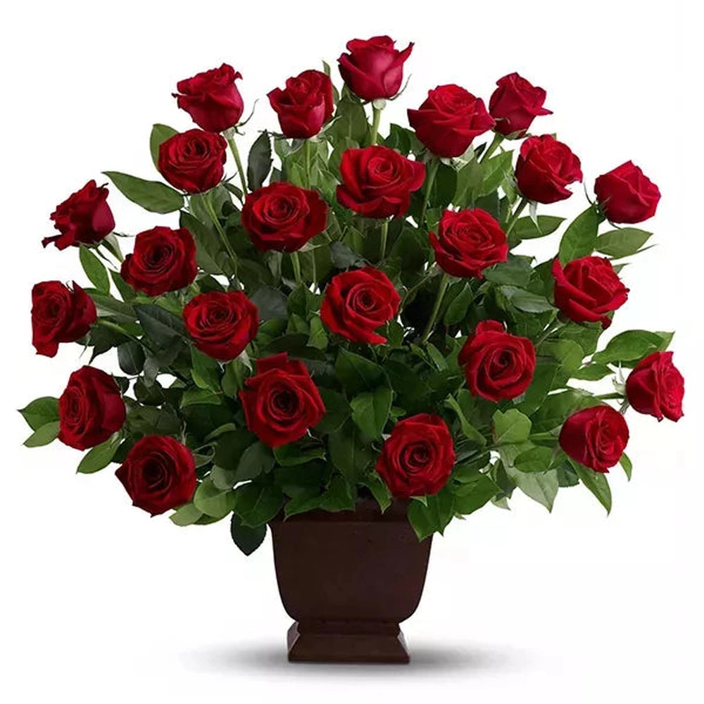 Rose Tribute