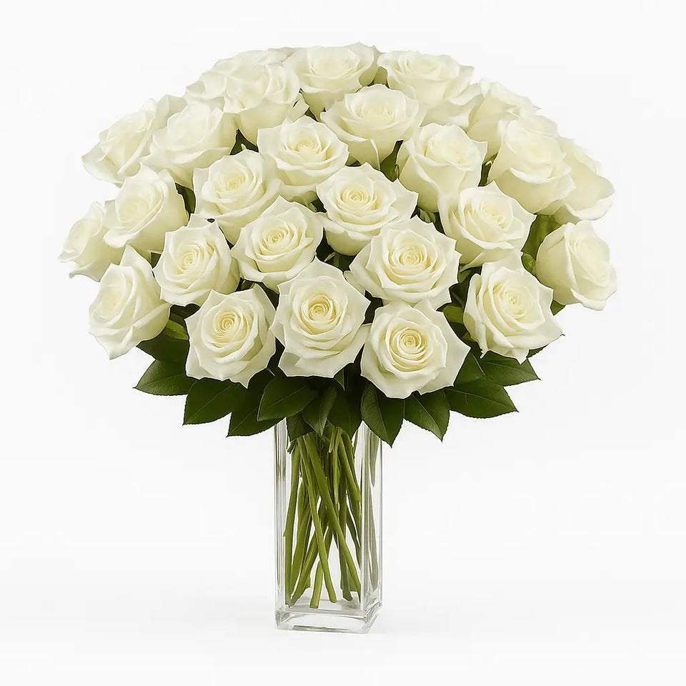 Three Dozen Long Stemmed White Roses