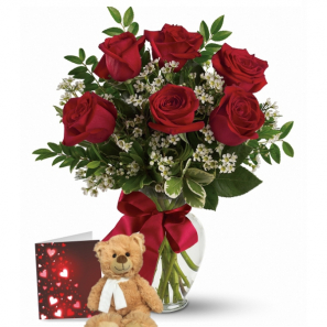 6 Red Roses Rouges & Teddy Bear 